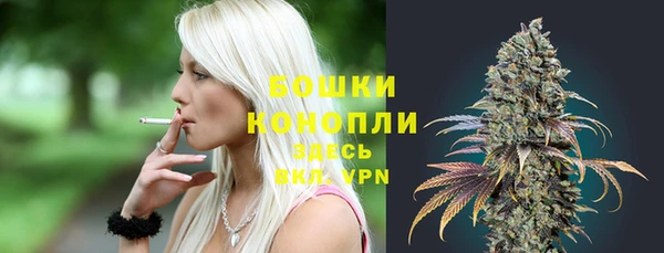 стаф Бородино