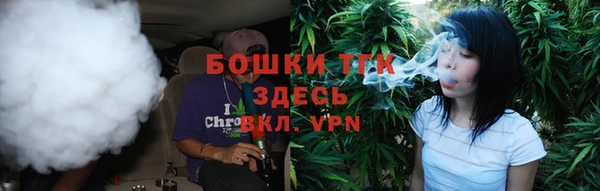 стаф Бородино