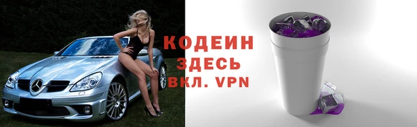 стаф Бородино