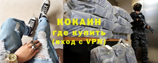стаф Бородино