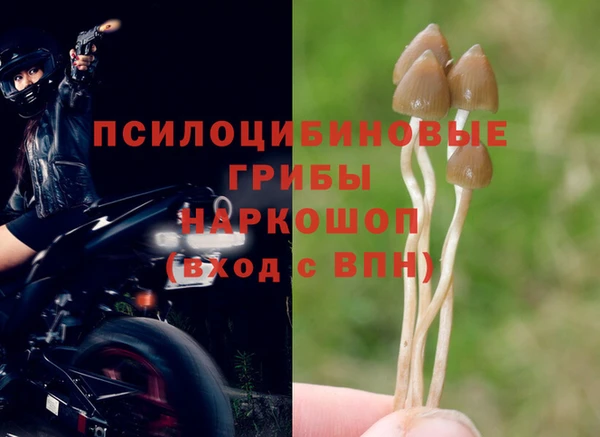 стаф Бородино