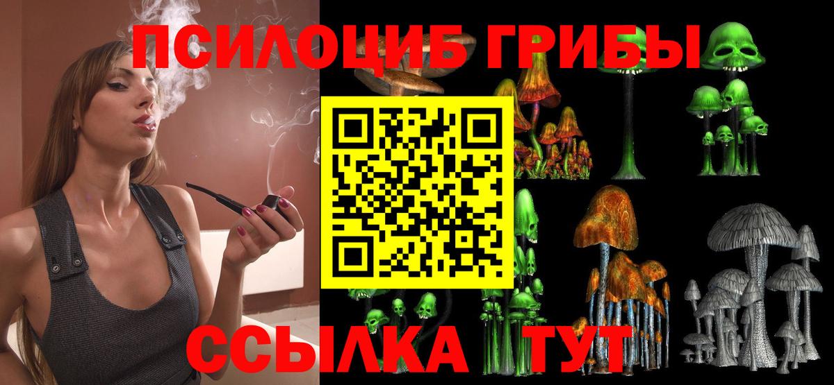 Псилоцибиновые грибы прущие грибы Верхняя Пышма